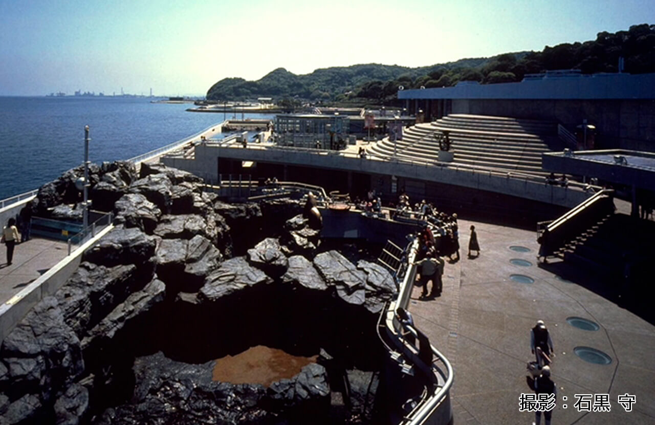 大分マリーンパレス水族館うみたまご