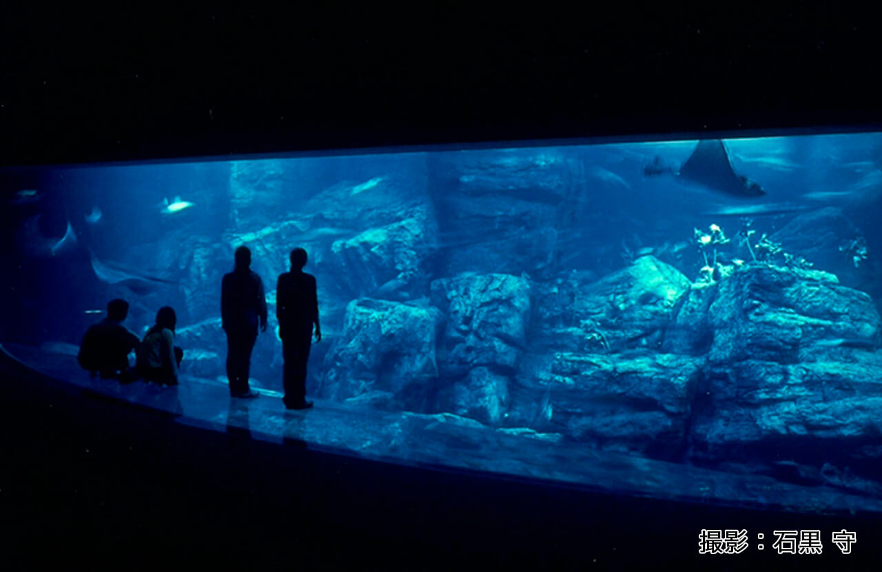 大分マリーンパレス水族館うみたまご