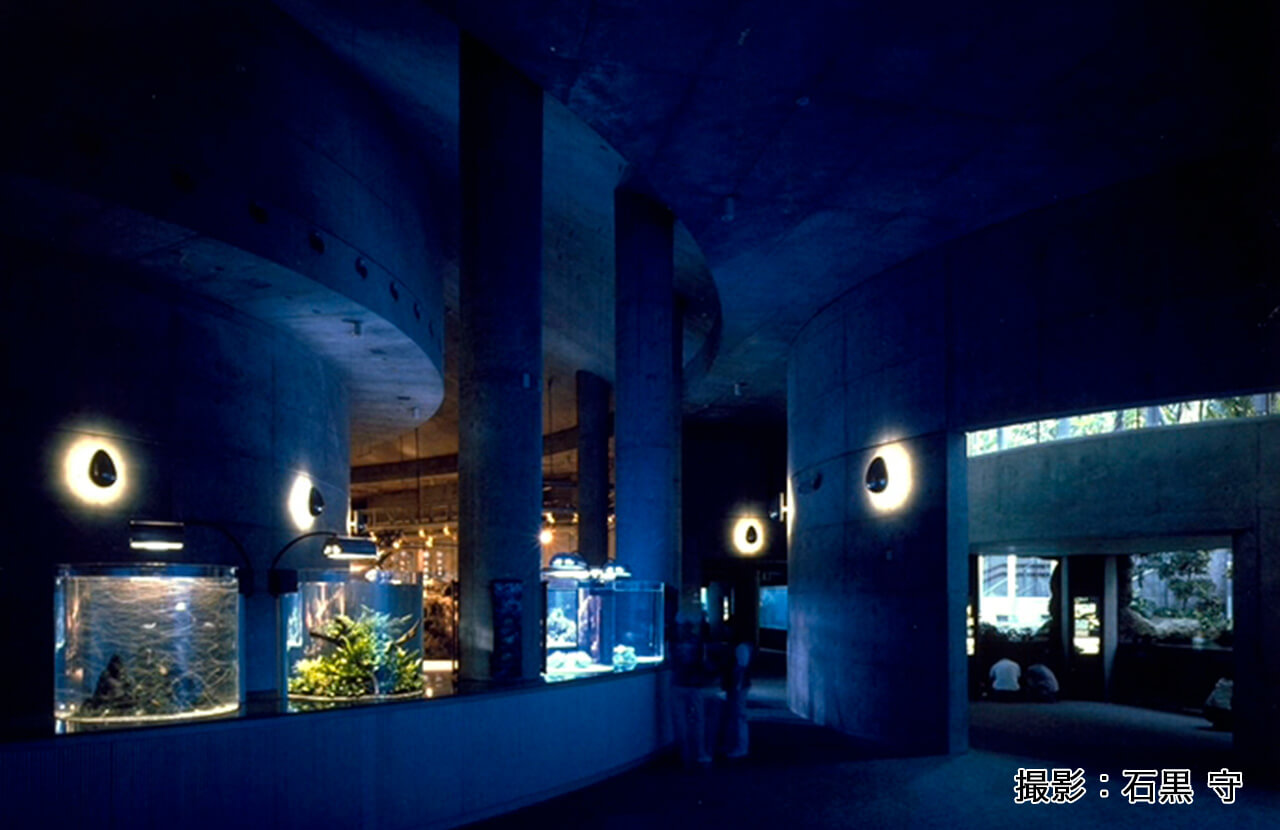 大分マリーンパレス水族館うみたまご